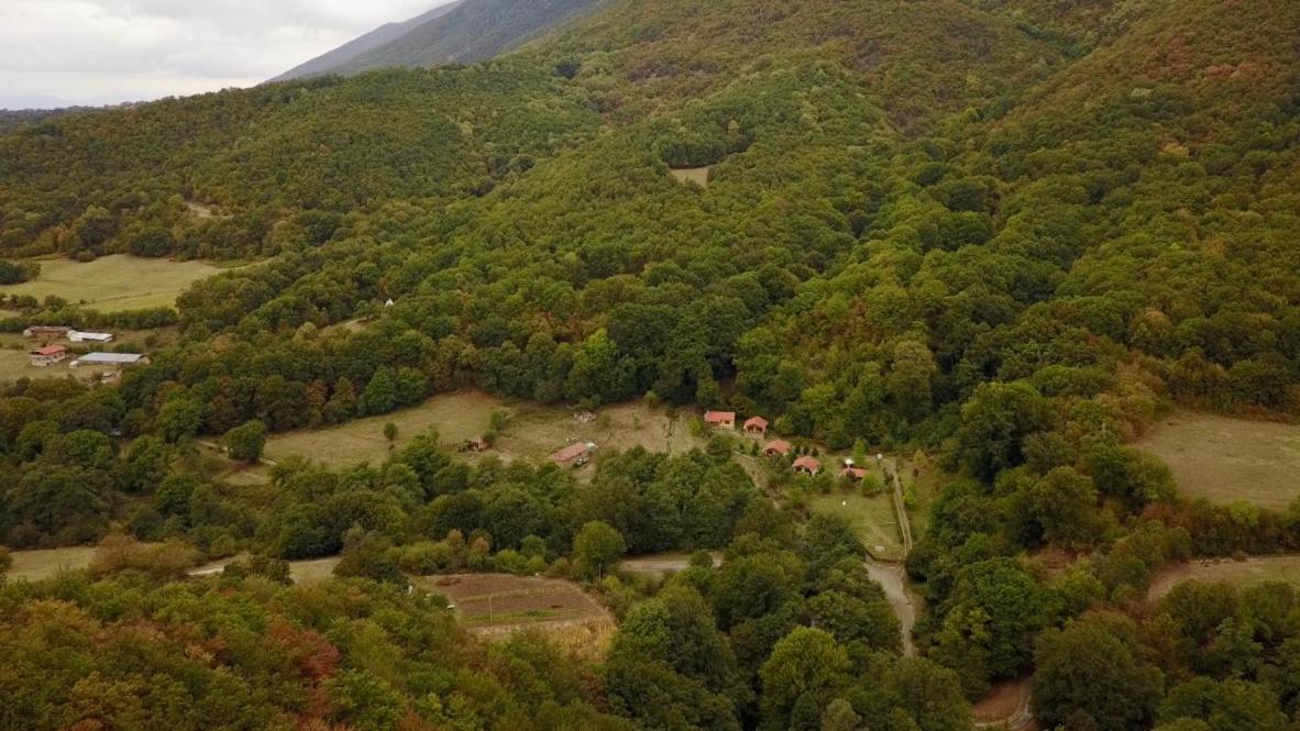 Бунгала Дара كالوفر المظهر الخارجي الصورة